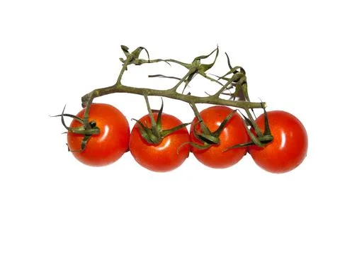 Cherry tomatoes isolated on white background 写真素材