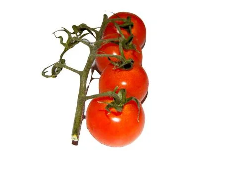 Cherry tomatoes isolated on white background 库存照片