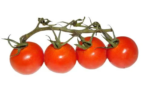 Cherry tomatoes isolated on white background Фото