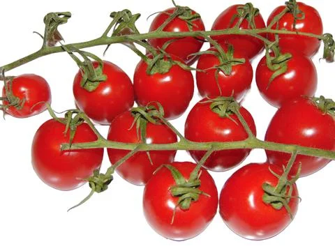 Cherry tomatoes isolated on white background 库存照片