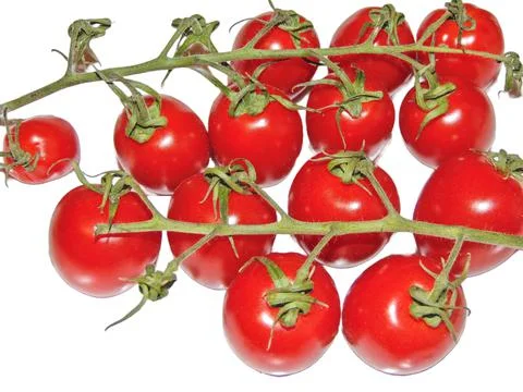 Cherry tomatoes isolated on white background Foto stock