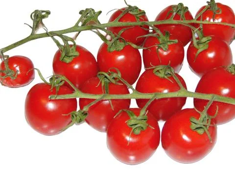 Cherry tomatoes isolated on white background 库存照片