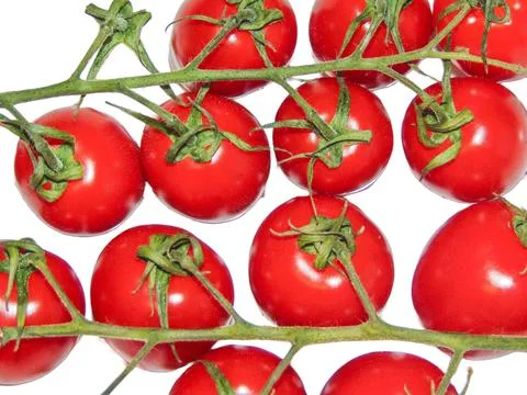 Cherry tomatoes isolated on white background Stock Photos