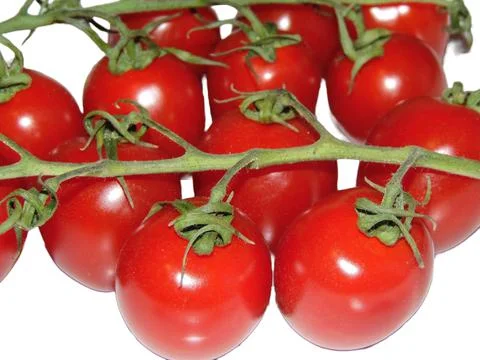 Cherry tomatoes isolated on white background Stock-Fotos