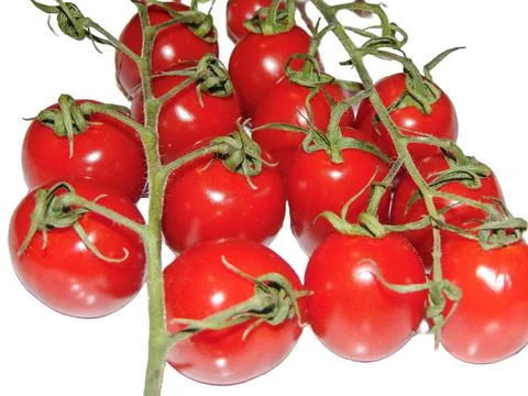 Cherry tomatoes isolated on white background Фото