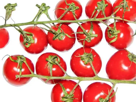 Cherry tomatoes isolated on white background Фото