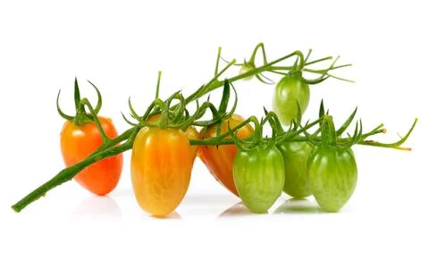 Cherry tomatoes isolated on white background Stock Photos