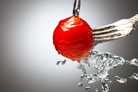 Cherry tomatoes on a metal fork. Drops of water. Black white gradient background Stock Photos