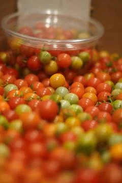 Cherry tomatoes in the middle with blurred effect arrpund  (1 of 1) Foto stock