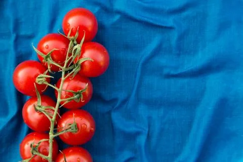 Cherry tomatoes over blue textile with copy space Stock Photos