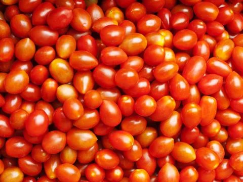 Cherry tomatoes 스톡 사진
