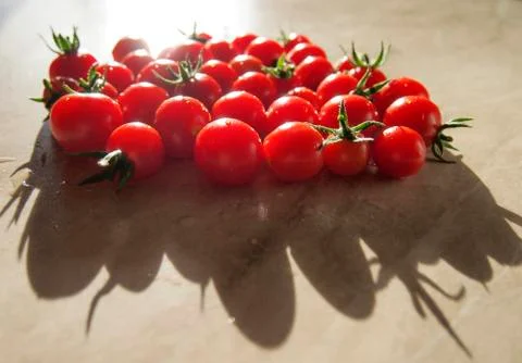 Cherry tomatoes Stock Photos