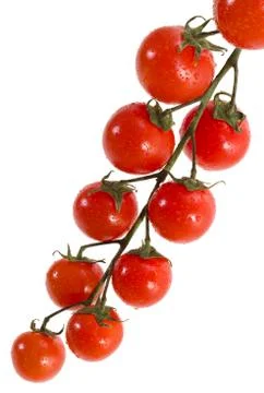 Cherry tomatoes Stock Photos