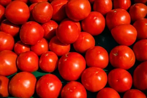 Cherry Tomatoes Stock Photos