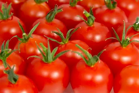 Cherry Tomatoes Stock Photos