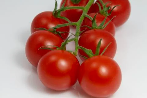 Cherry Tomatoes 스톡 사진