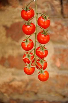 Cherry Tomatoes Stock-Fotos