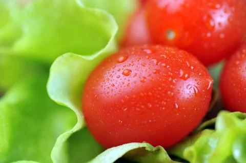 Cherry tomatoes Stock Photos