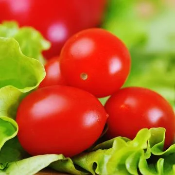 Cherry tomatoes Stock Photos