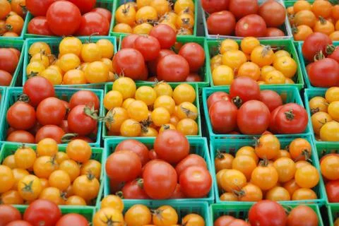 Cherry Tomatoes Stock Photos