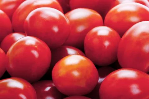 Cherry tomatoes Stock Photos