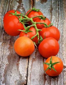 Cherry Tomatoes Stock Photos