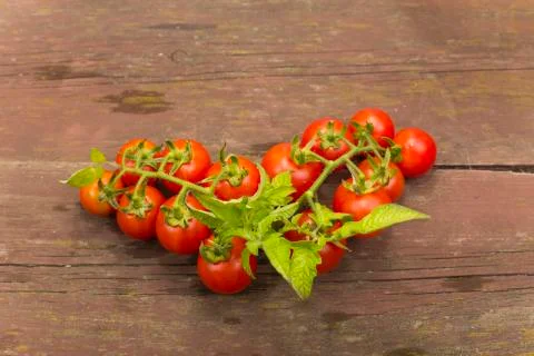 Cherry tomatoes Stock Photos