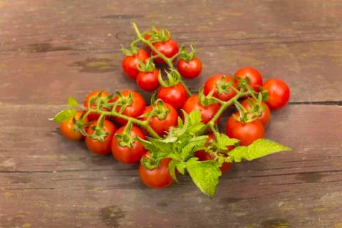 Cherry tomatoes Stock Photos
