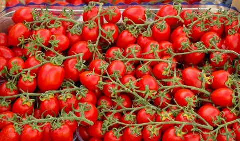 Cherry tomatoes Stock-Fotos