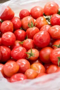 Cherry tomatoes Stock Photos
