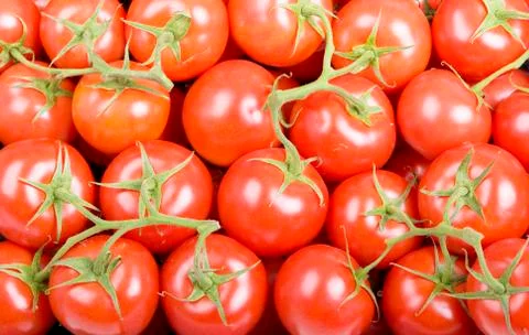 Cherry Tomatoes Stock Photos