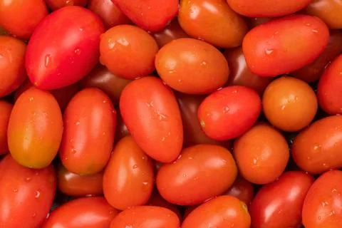Cherry tomatoes Stock Photos