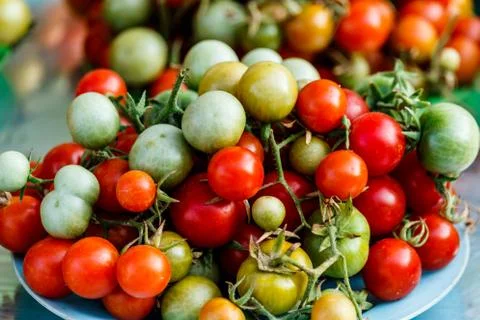 Cherry tomatoes Stock Photos