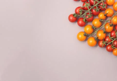 Cherry tomatoes Stock Photos