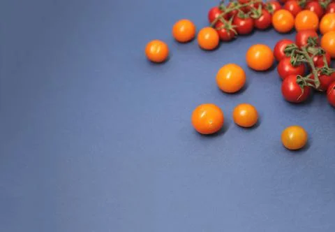 Cherry tomatoes Stock Photos