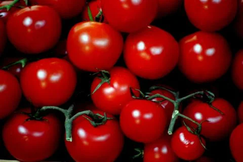 Cherry Tomatoes Stock Photos