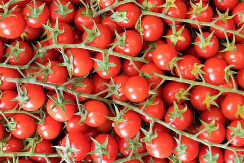 Cherry tomatoes Stock Photos