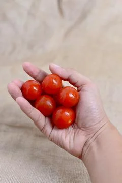 Cherry tomatoes Stock Photos