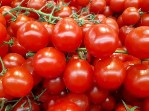 Cherry tomatoes 스톡 사진