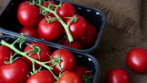 Cherry tomatoes in a plastic container on brown background Stock Footage 77567404