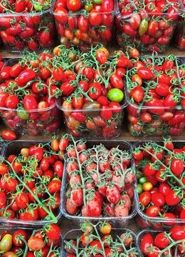 Cherry tomatoes in plastic containers. Vertical Photo. Harvest Time Foto stock