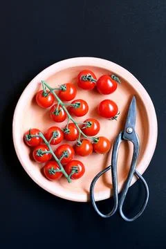 Cherry tomatoes plated with kitchen scissors Stock Photos