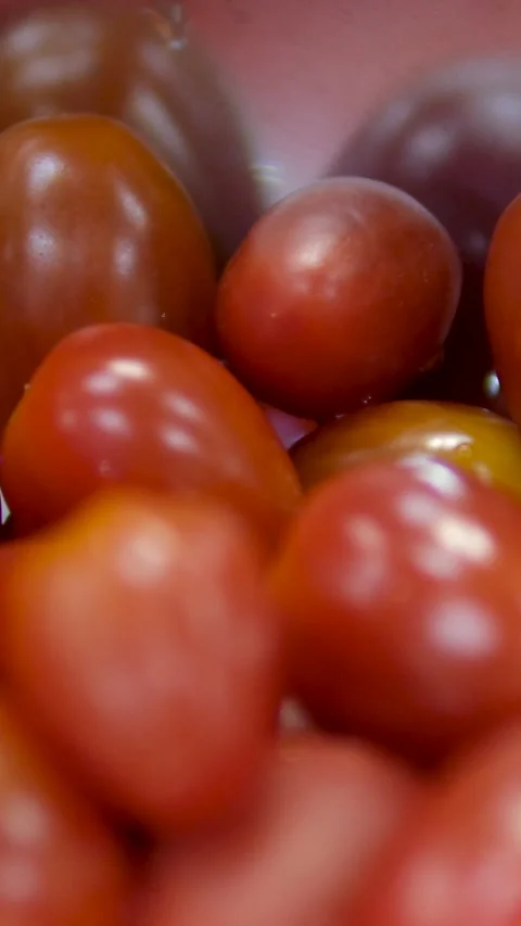 Cherry tomatoes in plates. ripe tomatoes on a plate. Cherry grape tomato variety Stock-Footage 279910505