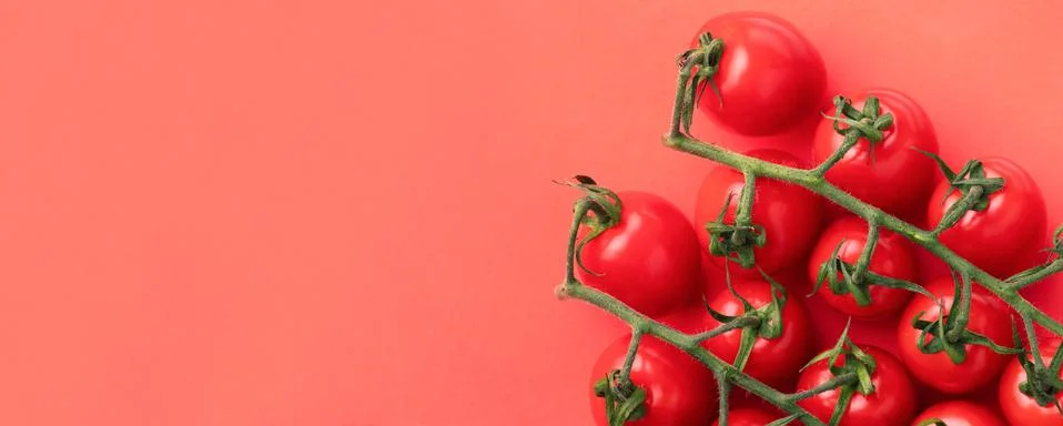 Cherry tomatoes on red Stock Photos