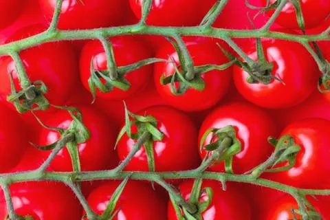 Cherry tomatoes on red Stock Photos
