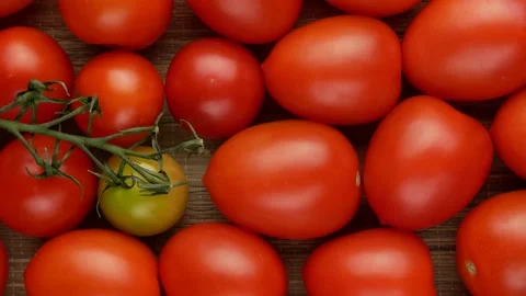 Cherry tomatoes. Red tomatoes - background. Stock Footage 137980389