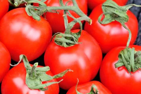 Cherry tomatoes on rustic wood table Stock Photos
