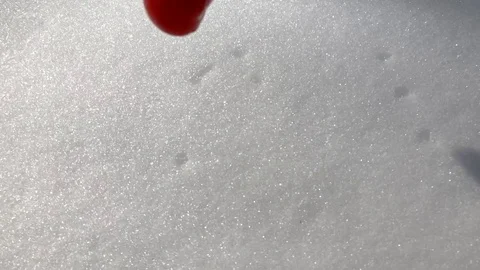 Cherry tomatoes on the snow winter Stock Footage 87301865