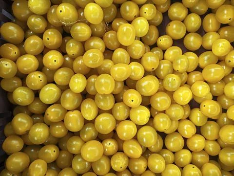 Cherry tomatoes stack. Summer tray market agriculture farm full of organic ve Foto stock