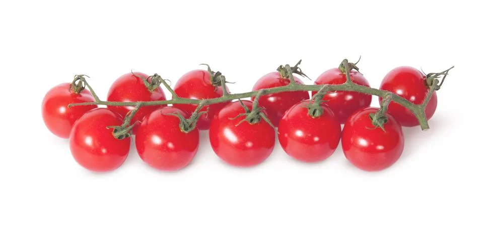 Cherry tomatoes on the stem Stock Photos